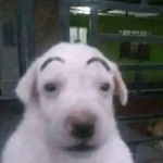 Nick_mescudi