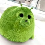 NikoToba