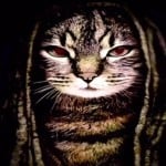 Nikthegreek