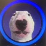 NortDG