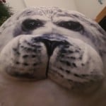 O_oTt