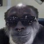 olliebaylis82
