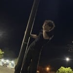OllieMusic
