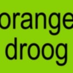 orangedroog65