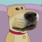 ornitothedog