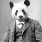 pandatheoldman