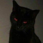 Panther