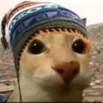PatitoMaluma