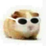 pcktt_