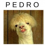 pedroxh