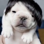 peeboy932