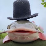 pepesasa27
