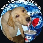 pepsidog