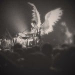 phoenixz