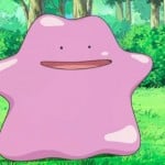 poxaemi