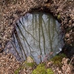 Puddlejump