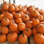 Pumpkinn23