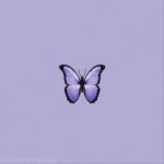 PurpleButterfly