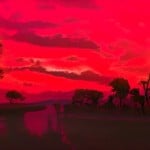 purpleoceanflow