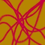 purprismxvi