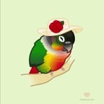 Quacky23