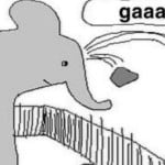 rasterizeme