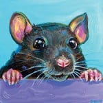 Ratopera