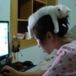 realworldana