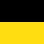 RealYellowblack
