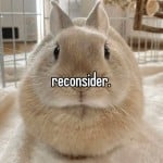 reconsider