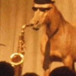 rik808