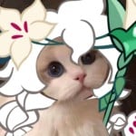 Rosemarynmph