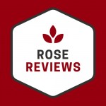 rosereviews