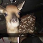 samyz_