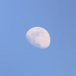 scarson