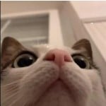 ScopedIn