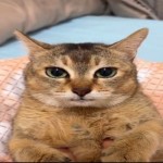screm