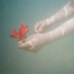 see_turtle