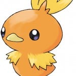 SenorTorchic