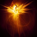 Shadowsong