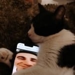 Sharkwastaken
