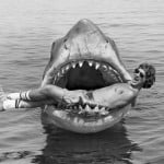 Sharky