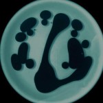 w_lite