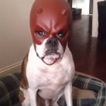 ShitDemon