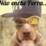 si_a