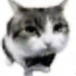 smeeb