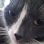 sooper