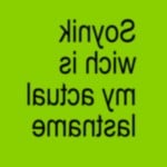 Soynik