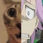 sphynxie