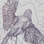 starling